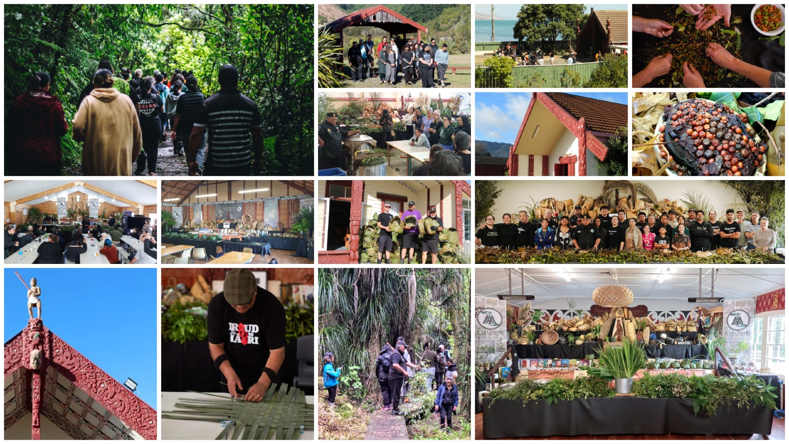 Kai Māori wānanga across the motu